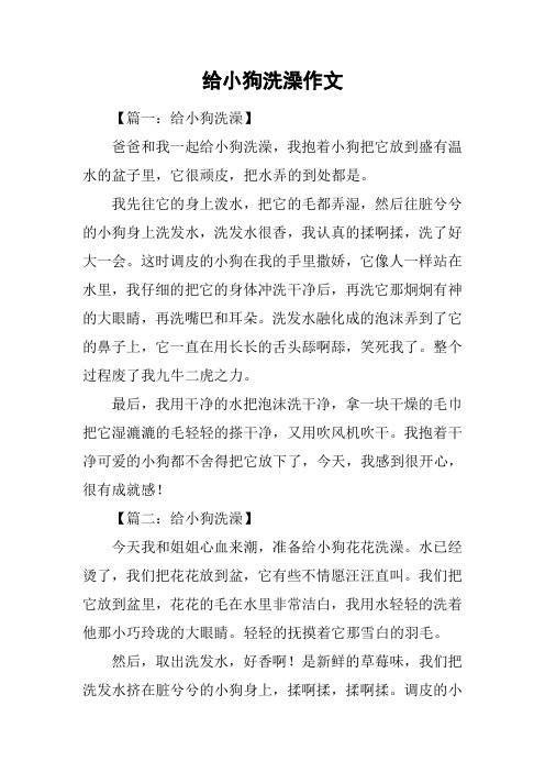 给小狗洗澡作文