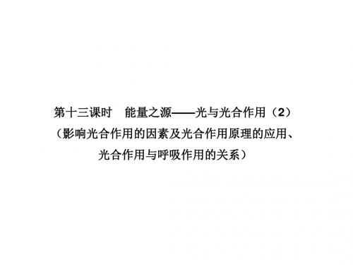 高考第一轮生物总复习细胞的能量供应和利用 PPT课件11(6份打包) 人教课标版3