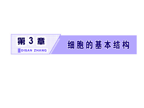 第3节 细胞核的结构和功能