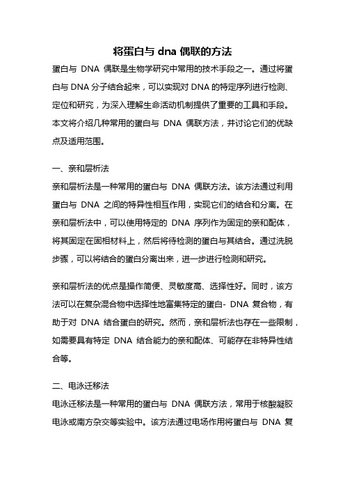 将蛋白与dna偶联的方法