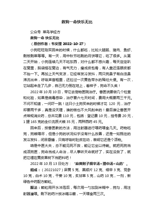 救狗一命快乐无比