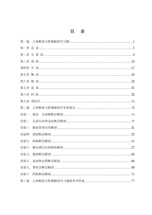 人体断面与影像解剖学实验报告