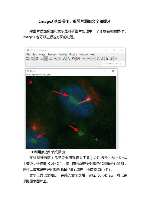 ImageJ基础操作：给图片添加文字和标注