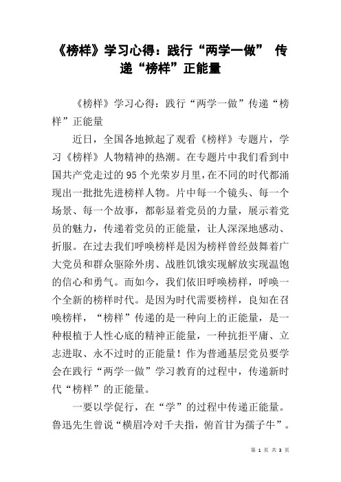 《榜样》学习心得：践行“两学一做” 传递“榜样”正能量