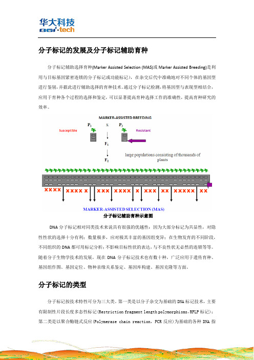 分子标记的发展及分子标记辅助育种