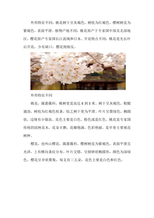 桃花和樱花怎么区别