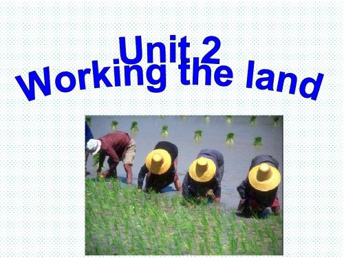 人教版高中英语必修4《Unit2 Working the land》课件