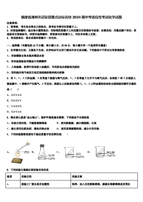 福建省漳州市诏安县重点达标名校2024届中考适应性考试化学试题含解析