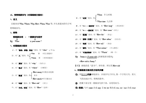 中考英语语法专题：特殊疑问句讲解与练习