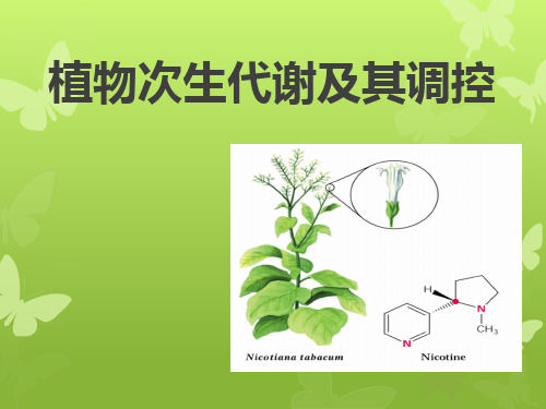 植物次生代谢