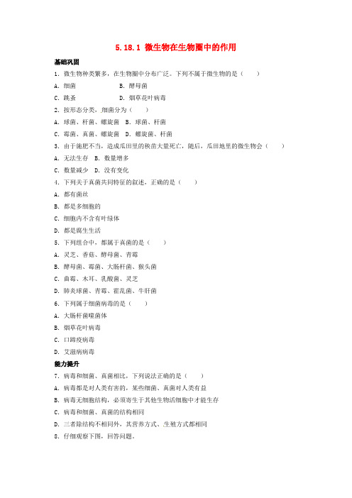 八年级生物上册 5.18.1 微生物在生物圈中的作用课后练习2 北师大版