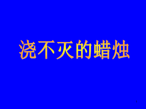 平面镜成像(4)