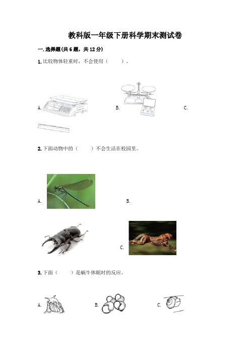 教科版一年级下册科学期末测试卷含答案【完整版】