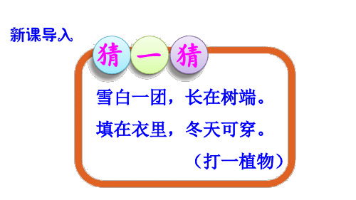 统编版一年级语文下册19棉花姑娘课件(42张ppt)