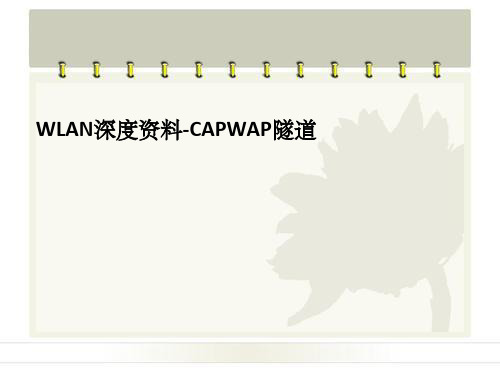 华为WLAN深度资料CAPWAP隧道