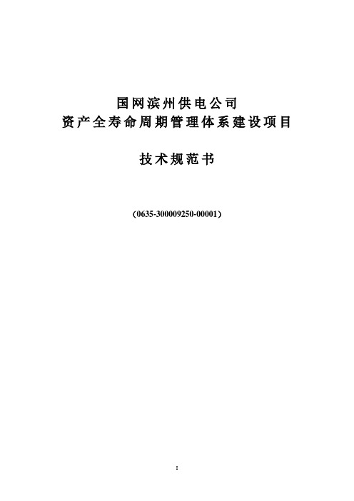 国网电力公司资产全寿命周期管理体系建设项目