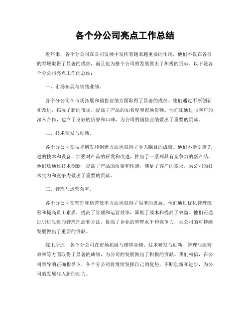 各个分公司亮点工作总结