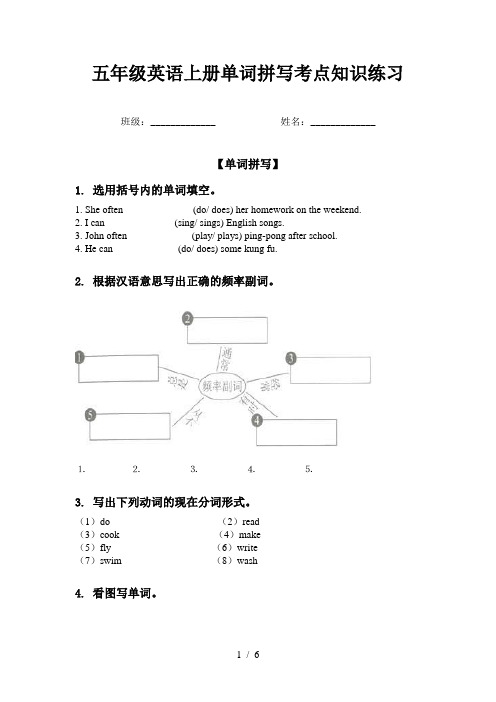 五年级英语上册单词拼写考点知识练习