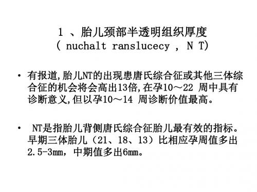 NT部分文库