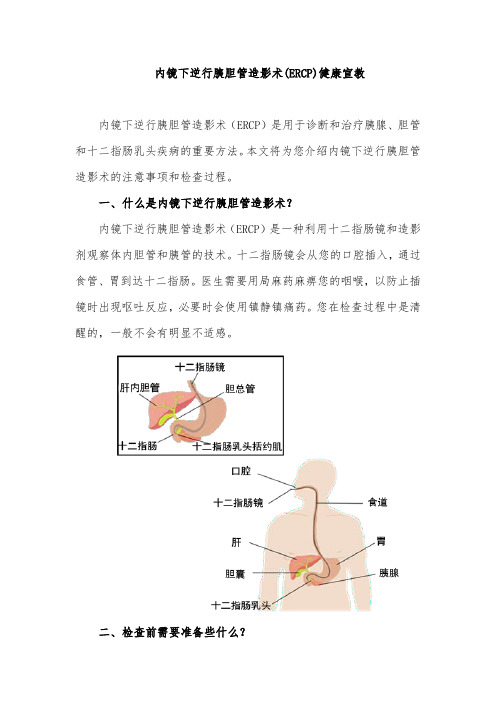 内镜下逆行胰胆管造影术(ERCP)健康宣教