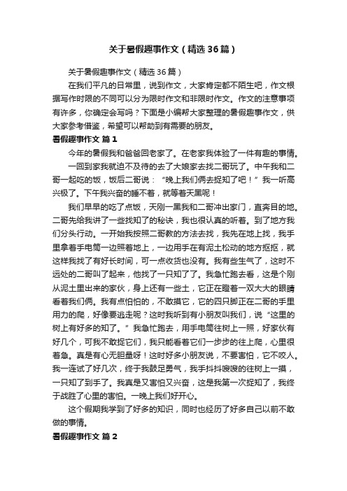 关于暑假趣事作文（精选36篇）