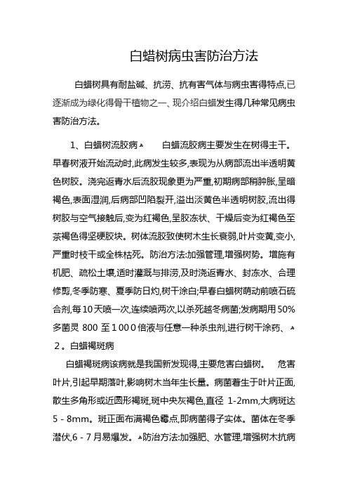 白蜡树病虫害防治方法