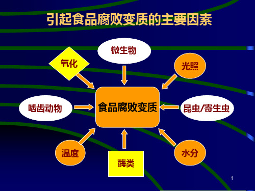 食品化学成分及其在保藏中的变化