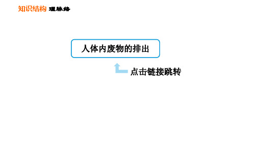 人教版七年级下册生物第五章巩固强化复习课件