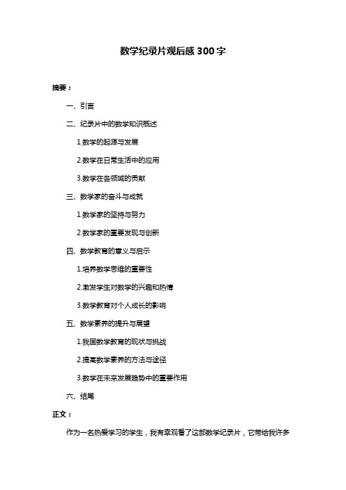 数学纪录片观后感300字