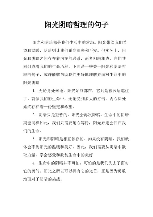 阳光阴暗哲理的句子