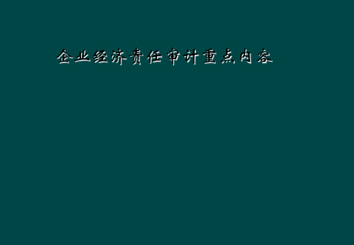 企业经济责任审计重点内容