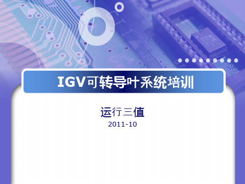 IGV系统培训