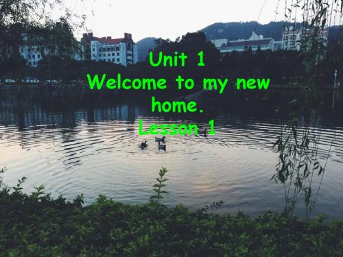 小学英语人教精通版四年级下册Unit 1 Welcome to my new home! Lesso