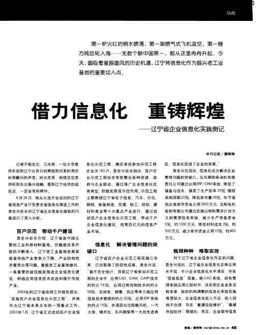 借力信息化 重铸辉煌——辽宁省企业信息化实践侧记