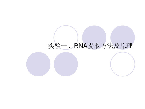 实验一、RNA提取方法及原理