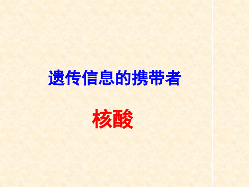 高中生物核酸、糖类、脂质、水、无机盐