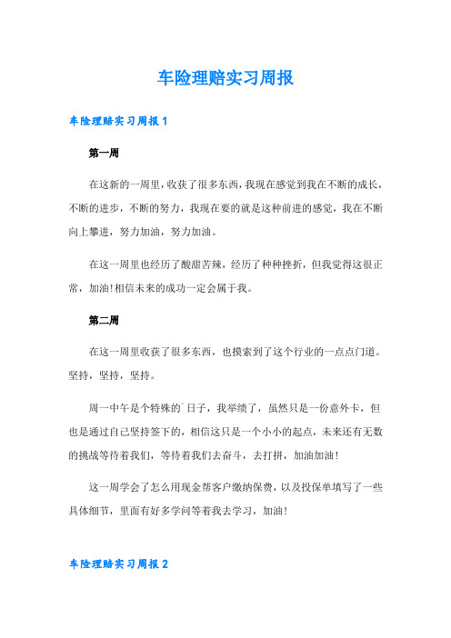 车险理赔实习周报