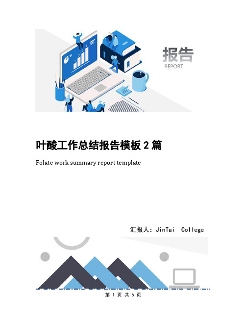 叶酸工作总结报告模板2篇