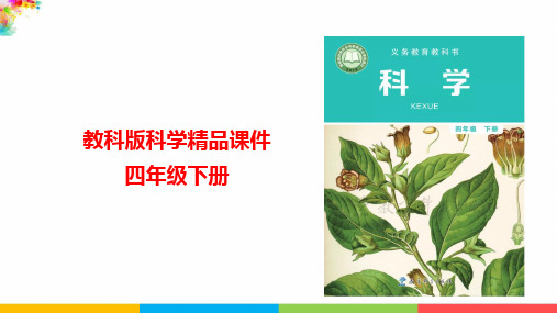 教科版小学四年级科学下册《种植凤仙花》名师教学课件