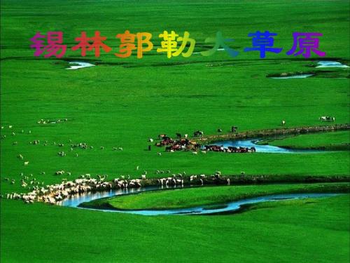 锡林郭勒大草原ppt