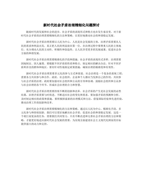 新时代社会矛盾治理精细化问题探讨