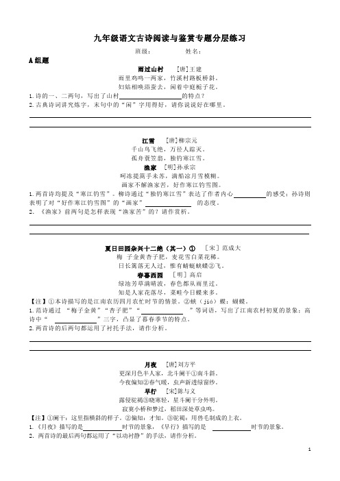 中小学九年级语文古诗阅读与鉴赏专题分层练习公开课教案教学设计课件案例测试练习题卷