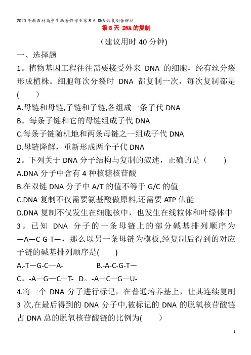 高中生物暑假作业第8天DNA的复制含解析