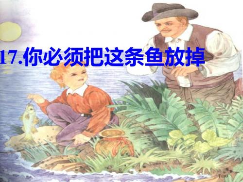 17《你必须把这条鱼放掉!》ppt