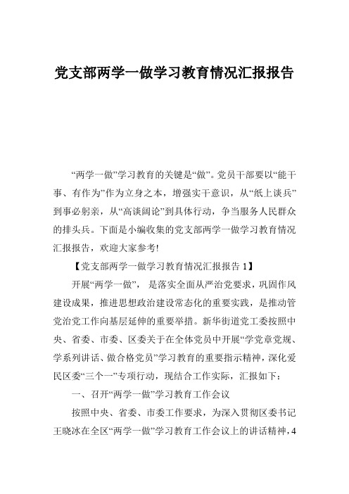 党支部两学一做学习教育情况汇报报告