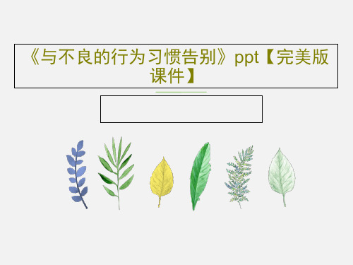 《与不良的行为习惯告别》ppt【完美版课件】共30页文档