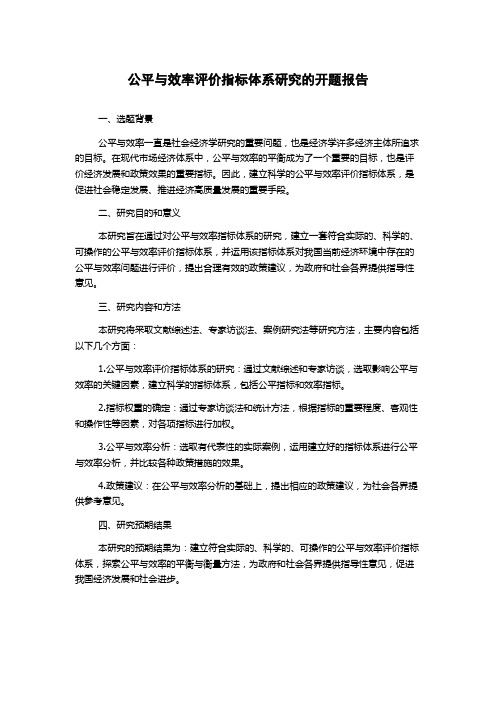 公平与效率评价指标体系研究的开题报告