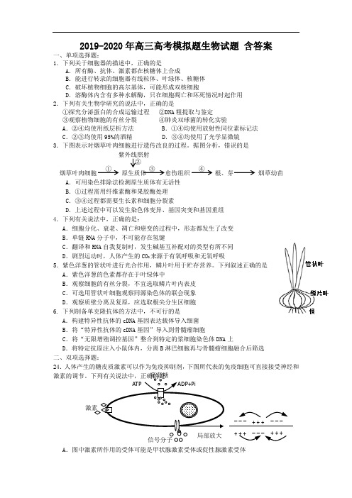 2019-2020年高三高考模拟题生物试题 含答案