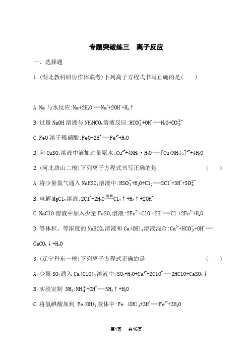 人教版高中化学高考总复习课后习题 专题三 离子反应 专题突破练三 离子反应