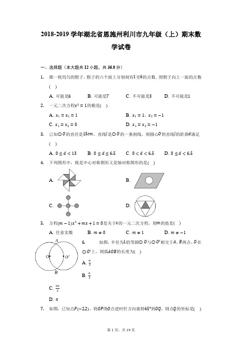 2018-2019学年湖北省恩施州利川市九年级(上)期末数学试卷(附详解)